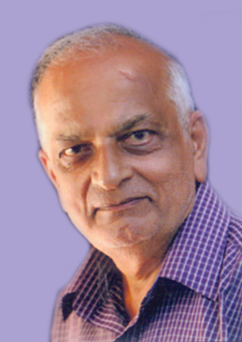 ಸರಸ್ವತಿ ಪುರಸ್ಕಾರಕ್ಕೆ ಪ್ರೊ.ವಿ.ಬಿ.ಅರ್ತಿಕಜೆ ಅಯ್ಕೆ